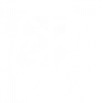 Neuroradiology icon