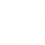 Cardiothoracic icon